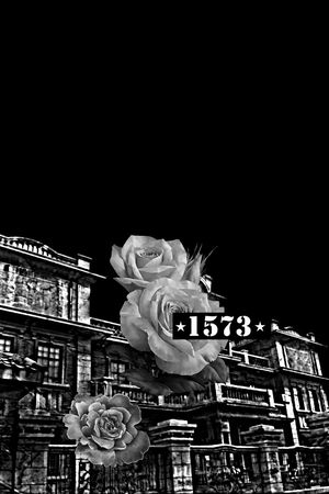 复古房子印花华亿平台图片