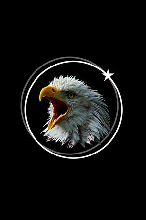 老鹰印花华亿平台图片