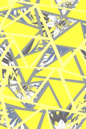 解构印花华亿平台图片