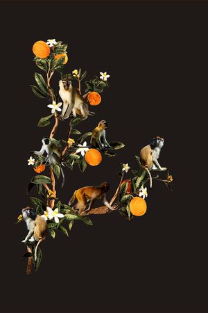 全身印花印花华亿平台图片