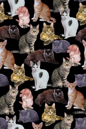 动物纹理印花华亿平台图片