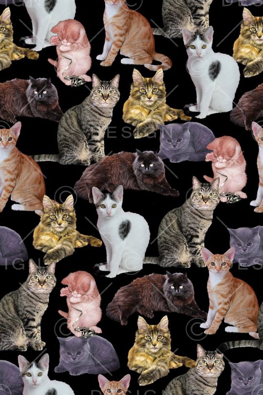 动物纹理印花华亿平台图片