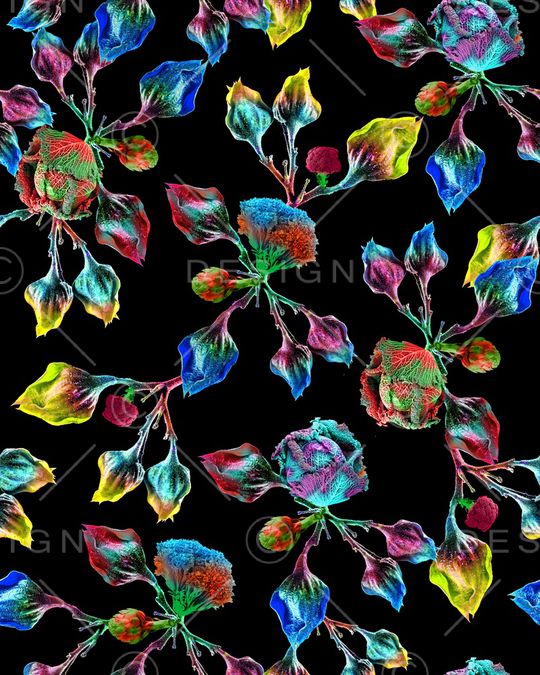 抽象花蕾印花华亿平台图片