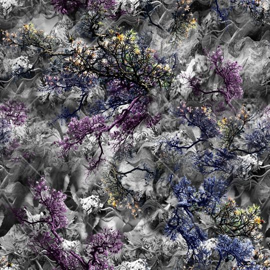 树影印花华亿平台图片