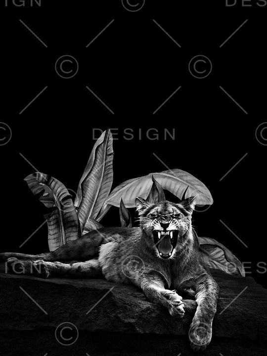 大树叶印花华亿平台图片