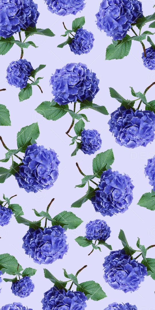 绣球花印花华亿平台图片