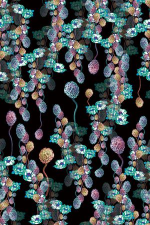 荷花印花华亿平台图片