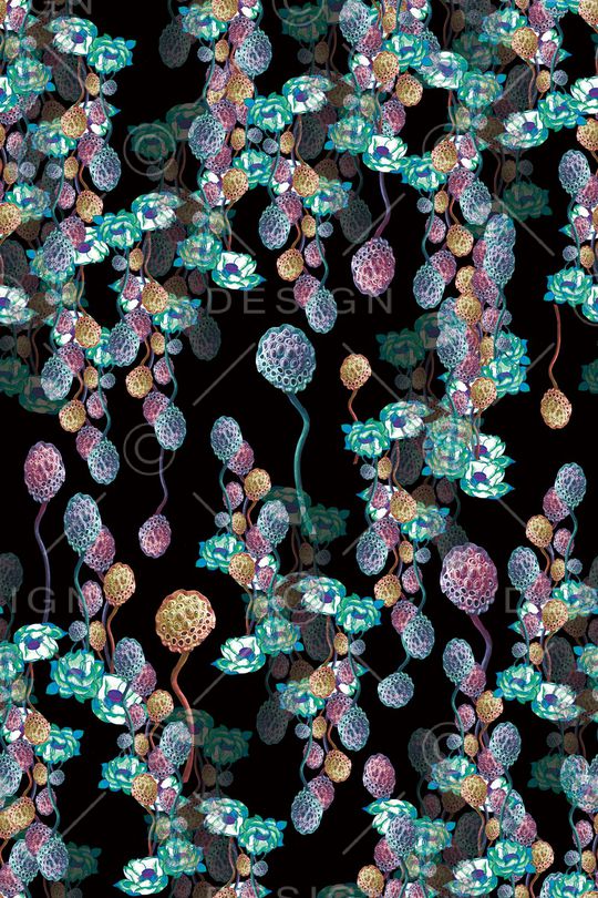 荷花印花华亿平台图片