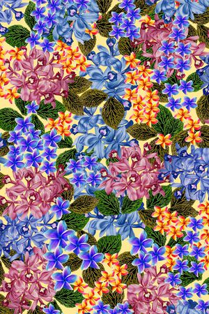 女装印花华亿平台图片