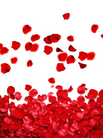 花瓣印花华亿平台图片