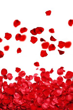 花瓣印花华亿平台图片