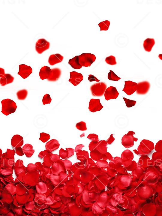 花瓣印花华亿平台图片