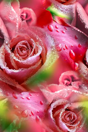 时尚印花华亿平台图片