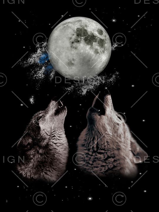 狼头印花华亿平台图片