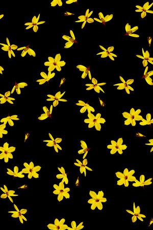 春季印花华亿平台图片