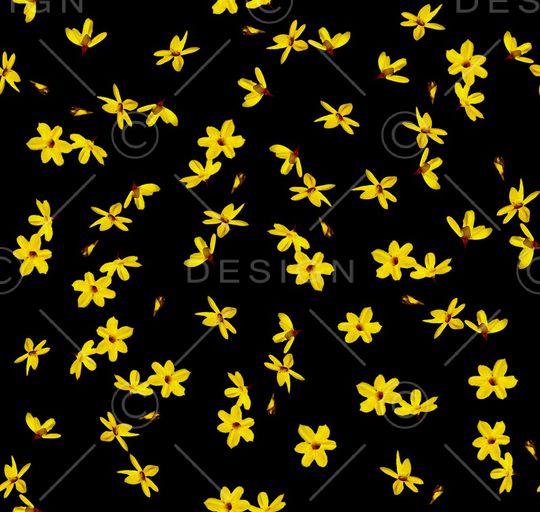 春季印花华亿平台图片