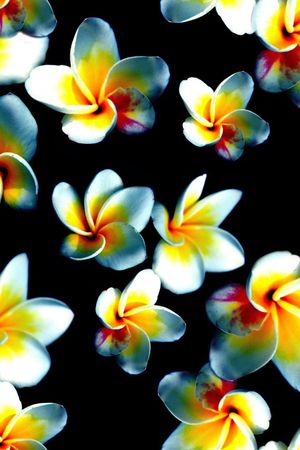 数码印花华亿平台图片