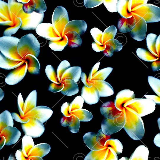 数码印花华亿平台图片