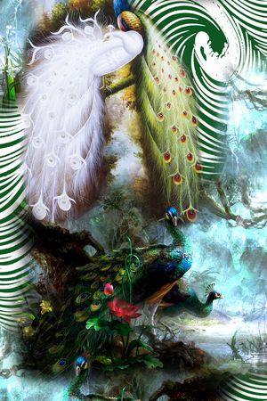 孔雀印花华亿平台图片