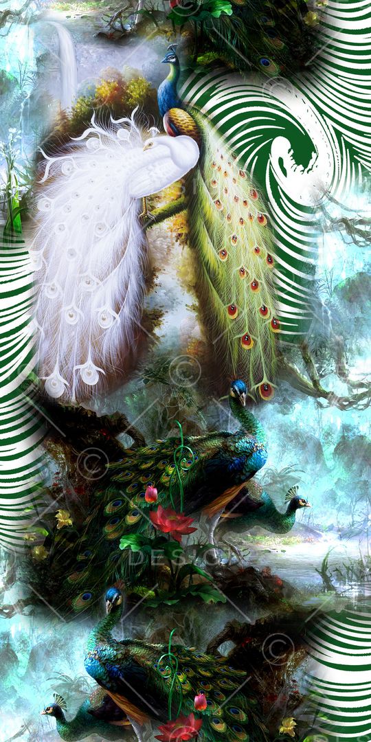 孔雀印花华亿平台图片