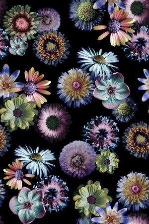 女装裙装裤装印花华亿平台图片