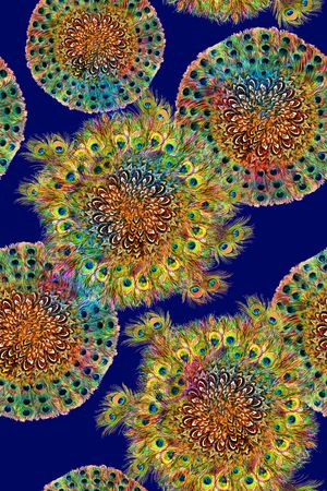 羽毛印花华亿平台图片