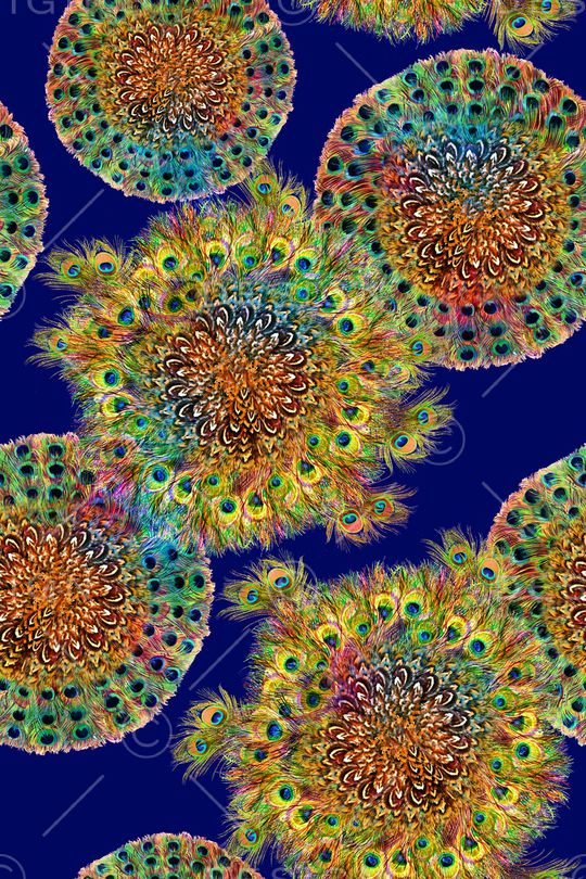 羽毛印花华亿平台图片