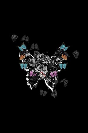 蝴蝶印花华亿平台图片