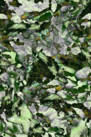 迷彩印花华亿平台图片