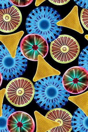 抽象印花华亿平台图片