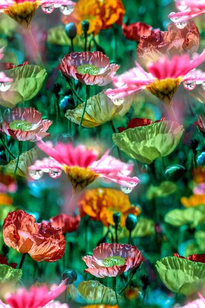 时尚印花华亿平台图片