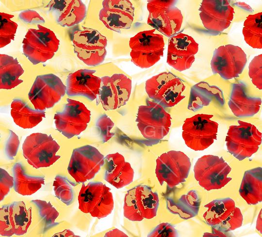 罂粟花印花华亿平台图片