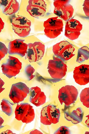 罂粟花印花华亿平台图片