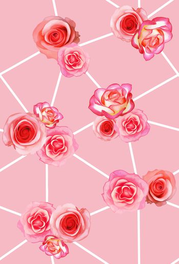 795436-2 26花卉粉线条