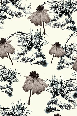 卷草纹印花华亿平台图片