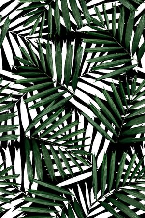 树叶印花华亿平台图片