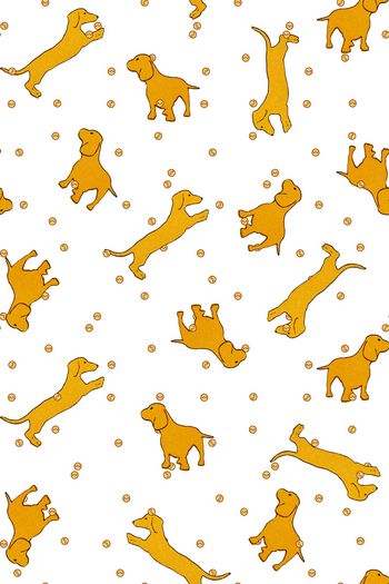 795766-童装小狗笑脸白