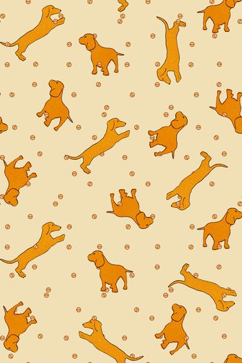 795767-童装小狗笑脸黄