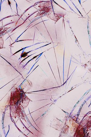 纹理印花华亿平台图片