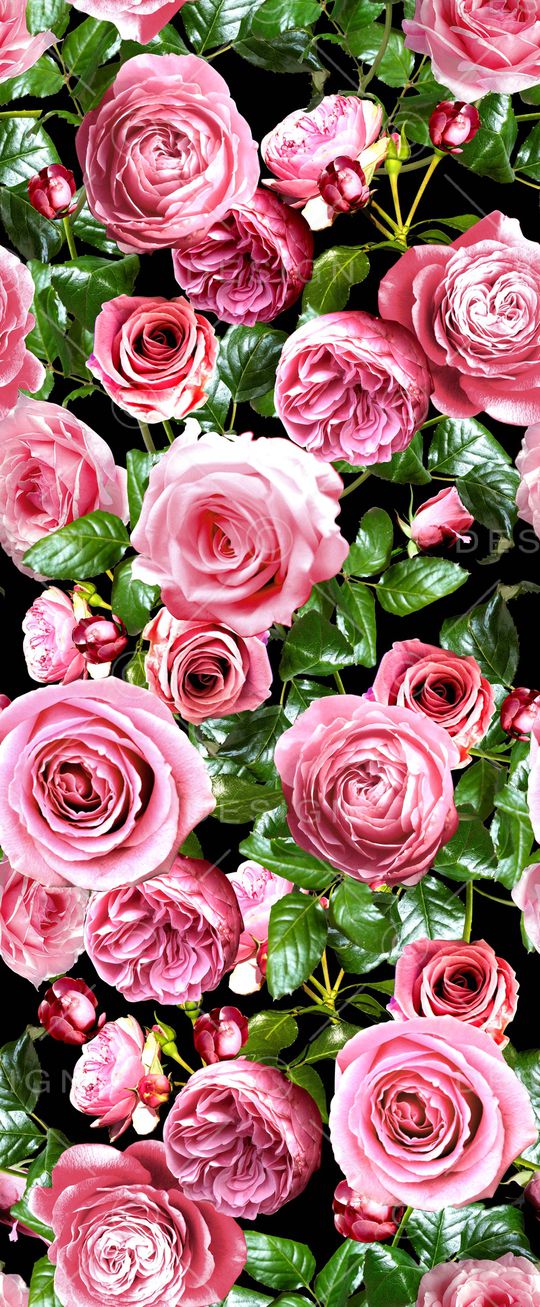 仿大牌印花华亿平台图片