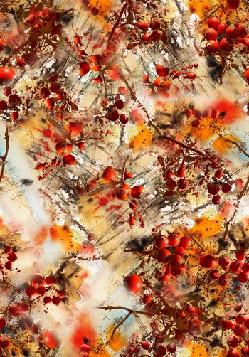 796241-抽象琵琶手绘水果