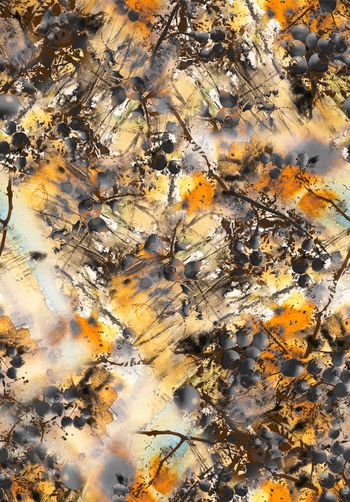 796243-抽象琵琶手绘水果1