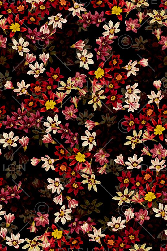 暗黑风印花华亿平台图片