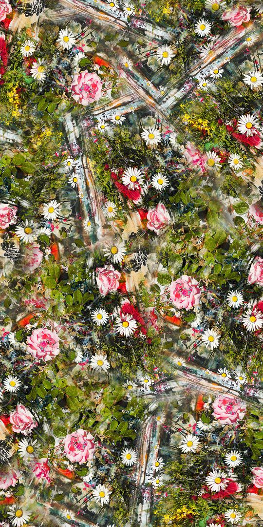 牵牛花印花华亿平台图片