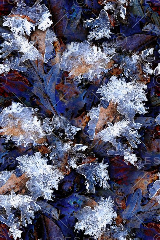 冰晶印花华亿平台图片