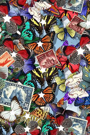 蝴蝶印花华亿平台图片