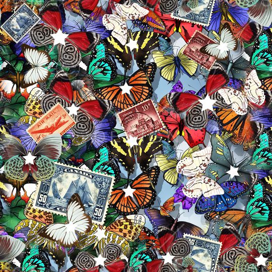 蝴蝶印花华亿平台图片