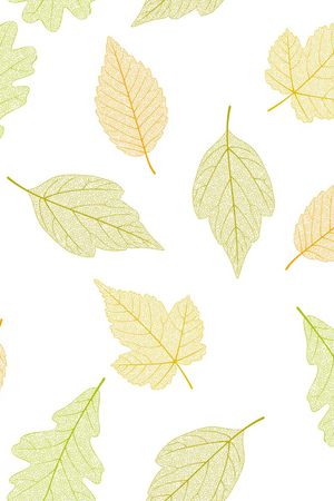 各种叶子印花华亿平台图片