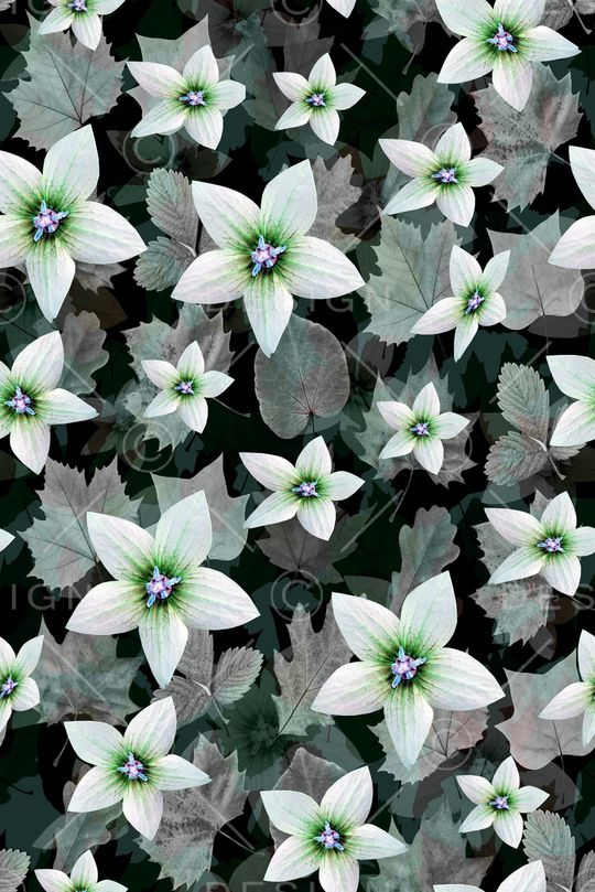 叶子印花华亿平台图片