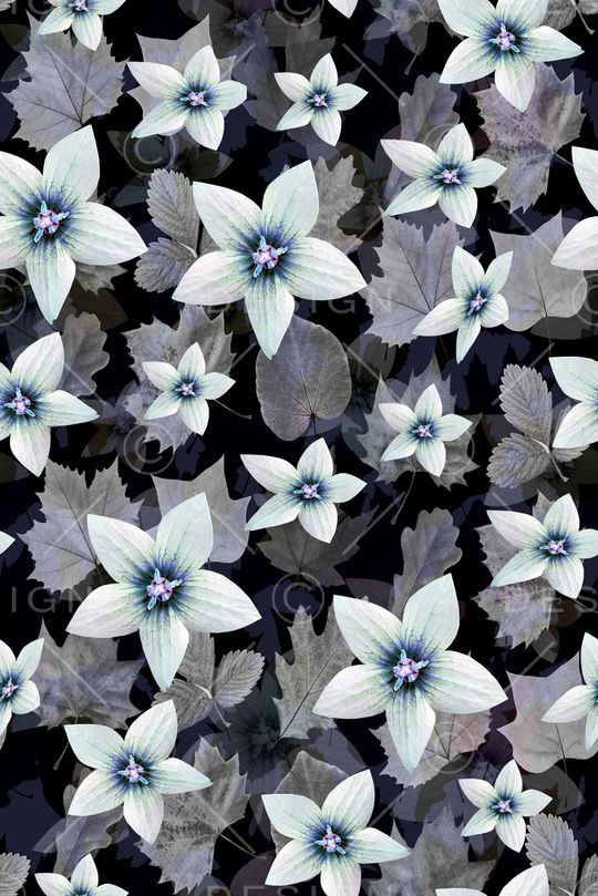 叶子印花华亿平台图片